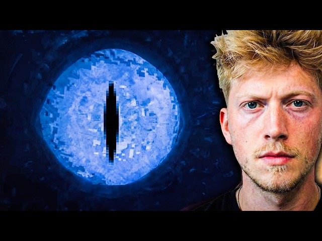 What Is the Leviathan?