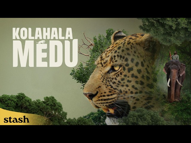 A Village Faces Deadly Terror from a Hunter in the Forest | Kolahalamedu | Mystery Thriller