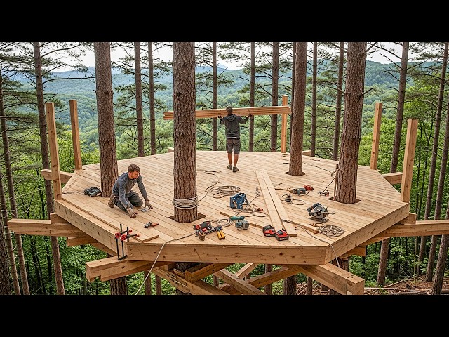 This man is building a two-room treehouse at the top of a 150-year-old tree!
