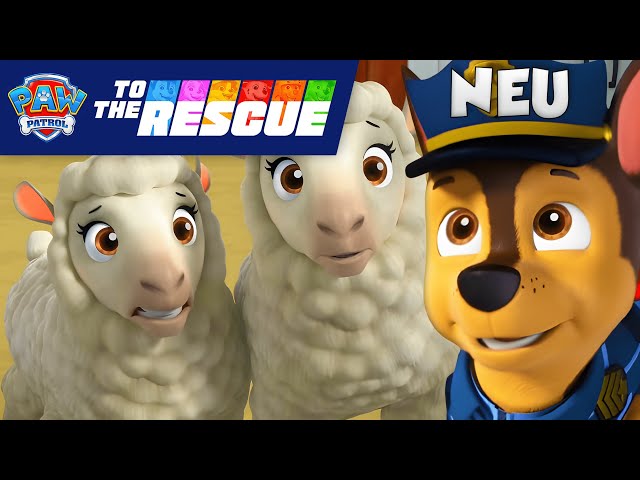 NEU! Chase rettet die entlaufenen Schafe 🐑 | Search & Rescue Kurzgeschichten |PAW Patrol auf Deutsch