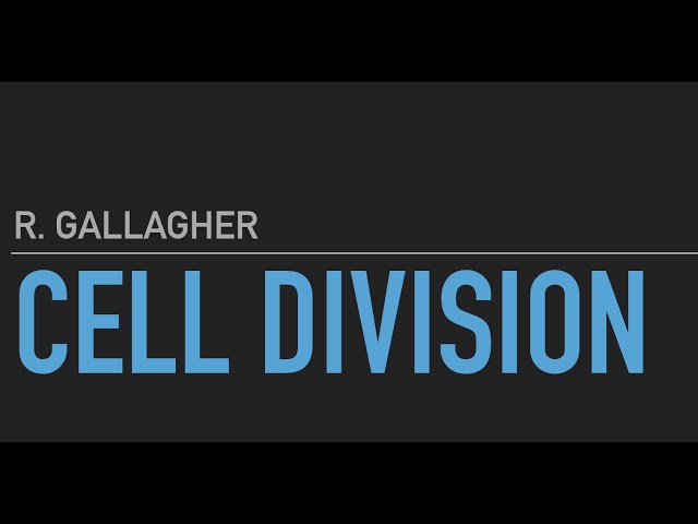 Cell Division