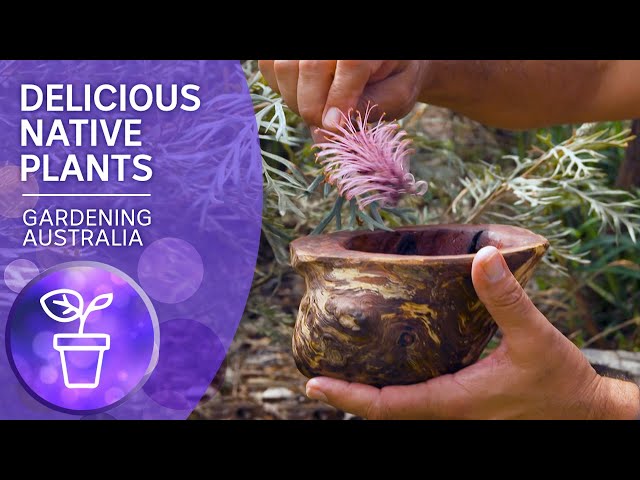 Australian native edible plants