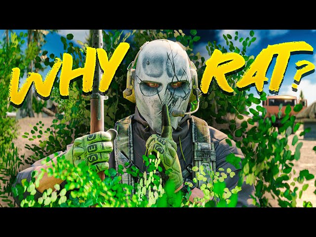 The Real Reason People Rat in Tarkov... It's Not What You Think