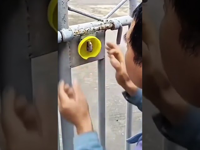 using a metal fence to open a hard lid #diy #tools