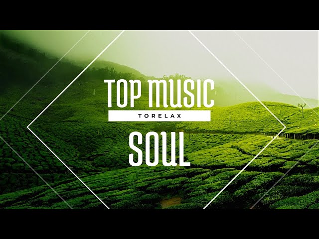 Focus Music for Work and Studying, Background Music for Concentration, Study Music