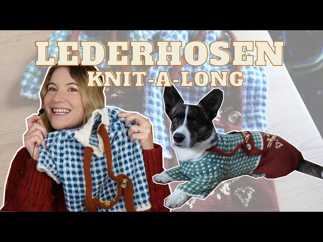 how to knit lederhosen for your dog! step-by-step knitting tutorial