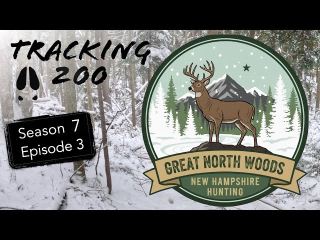 Looking for a Big Buck Track in NH Great North Woods: Tracking 200 S7E3: