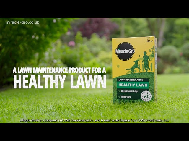 Miracle-Gro® Healthy Lawn | Fast-Acting Lawn Food for a Thicker, Greener Lawn