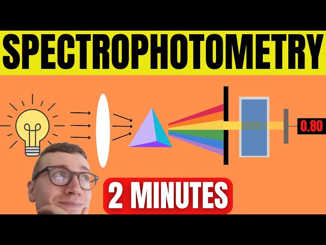Spectrophotometry Explained For Beginners