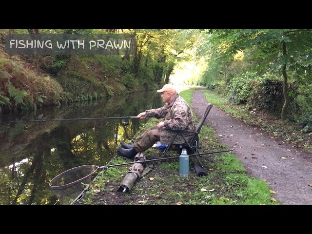 🎣 Angling || Fishing with prawn on the Staffs & Worcs Canal and is he really a curse?