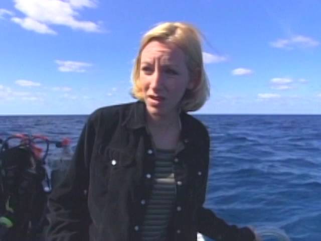 Shark Dive 30sec Commercial