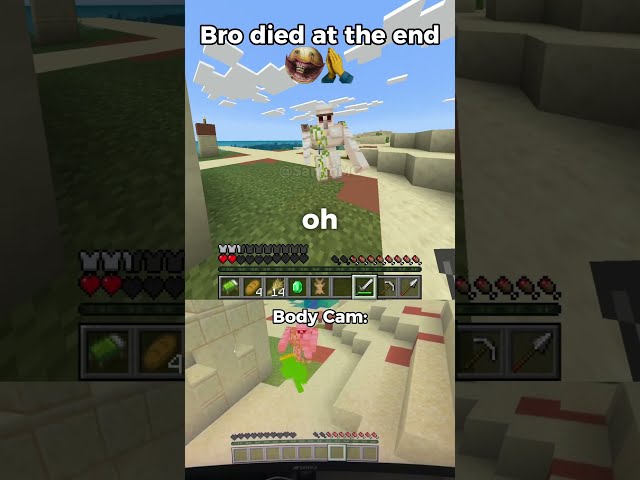 Minecraft but I get CRACKED if I take damage (body cam)