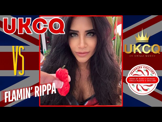 I eat a Flamin' Rippa Hot Pepper - 300 000 SHU! 🥵