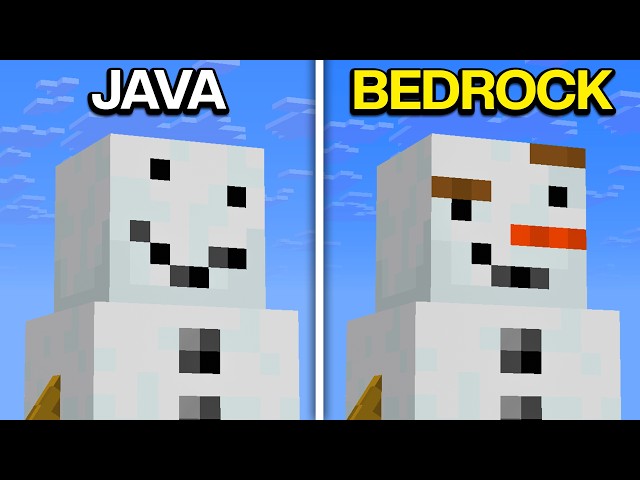 38 Minecraft Java VS Bedrock Things