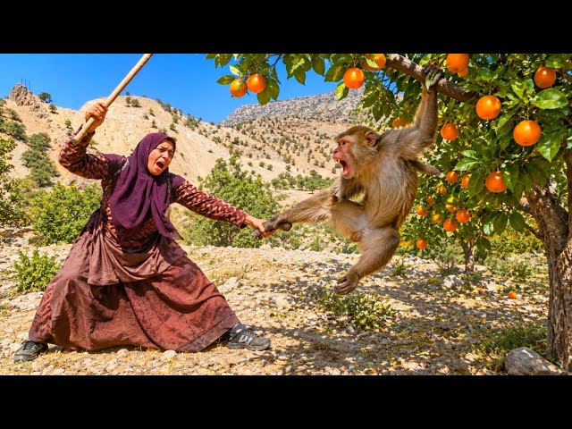 Mahrokh encountered an angry monkey deep in the mountains! 😨