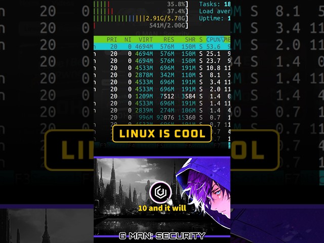 These 5 Linux Commands Will Change your Life