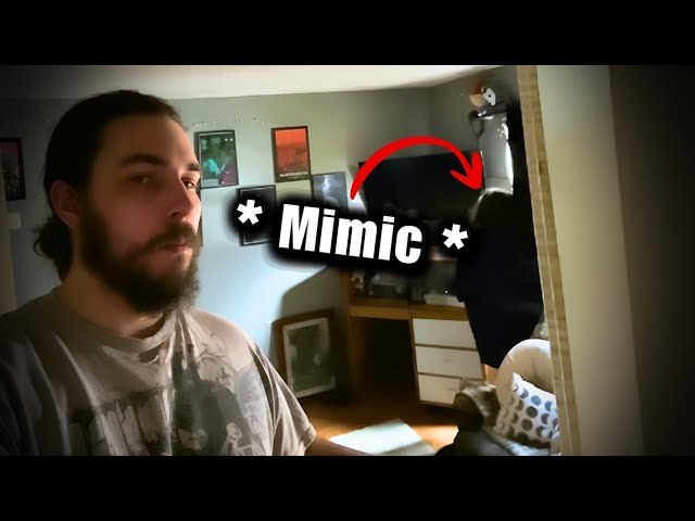 The Most Disturbing Mimic Encounters Ever Recorded