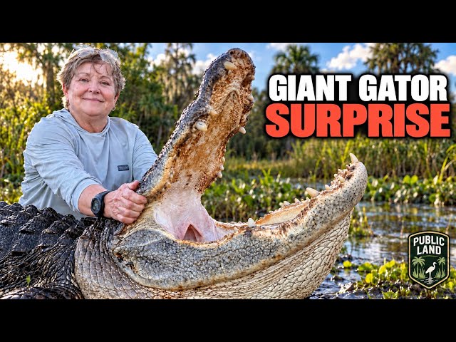 WE HARVESTED A GIANT ALLIGATOR After Husband Surprises Wife With A Gator Hunt!