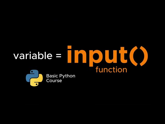 Python for Beginner: The Input() Function