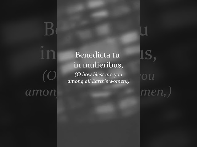 Ave Maria | Bach / Gounod | Latin & English Lyrics | Soloist, Piano & String Quartet | Marian Hymn