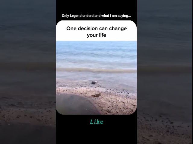 Your One decision Change your life #motivation #mindset #success #shorts #ytshorts #millionaire #yt