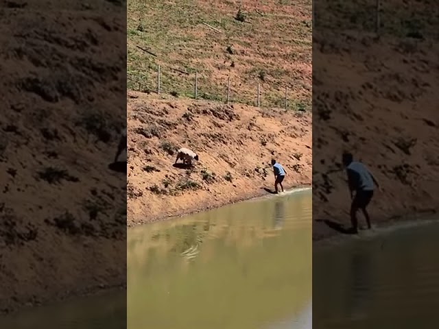 Run Run Run ๐
