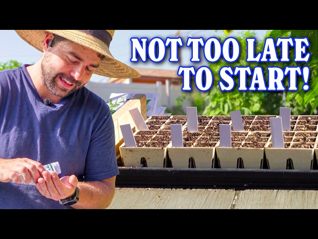 EVERY Seed You Should Be Starting In Summer!