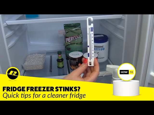 Quick Tip to Fix a Smelly Fridge!