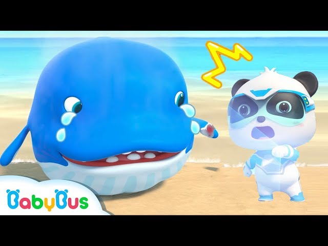 มาช่วยคุณปลาวาฬกัน | สุดยอดหน่วยกู้ภัย | การ์ตูนเด็ก | เบบี้บัส | Kids Cartoon | BabyBus