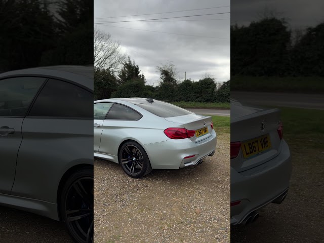Is this Peak BMW?! #f82m4 #bmwm4 #m4 #carfocused #s55 #automobile #coupe