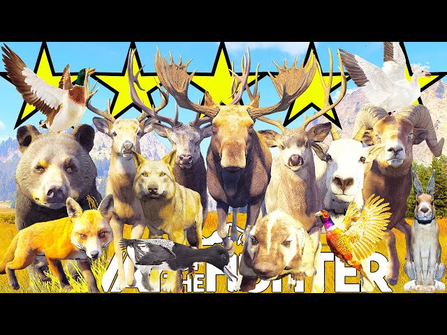 Every animal on Nez Perce Valley BUT They Are All 5 Stars! | Way of the Hunter