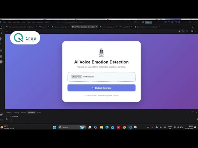 Building a Speech Emotion Recognition System with Flask and Librosa