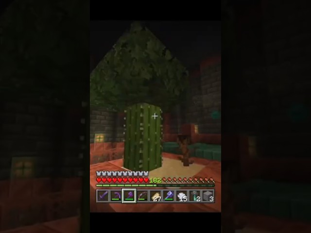 NEW Minecraft Feature?… #minecraft