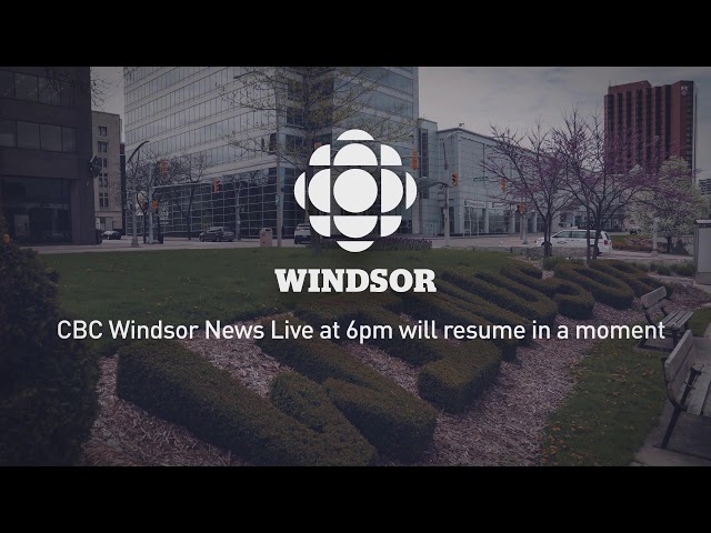 CBC Windsor News: September 8, 2026