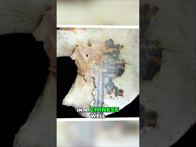 Unbelievable Discovery Gigantic Dragon Man Skull Rewrites Human Evolution