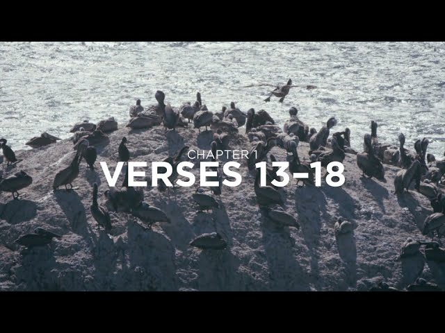The Book of James with Francis Chan | Bible Study Session 2 | James 1:13–18 | RightNow Media