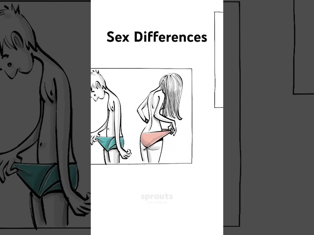 Sex differences [Short Version] #gender #biology #sexdifferences