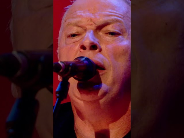 David Gilmour - Remember a Day (Later...with Jools Holland, 27 Sep 2008)