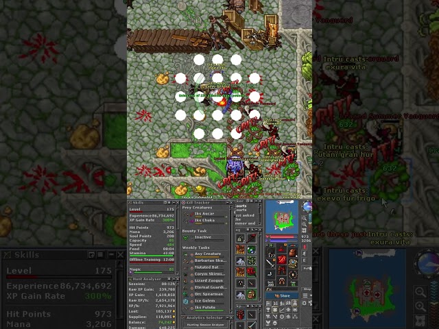 Summer Court 175 ED - 2.7kk raw xp - 300k profit/h #tibia