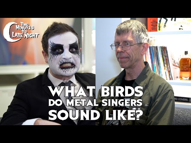 What Birds Do Metal Singers Sound Like?