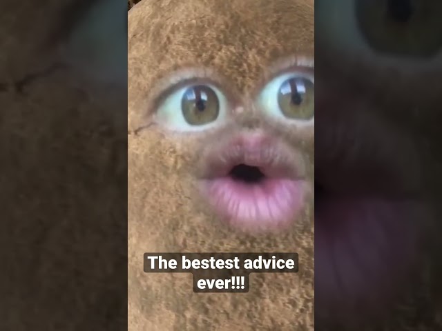 The Bestest Advice Ever!!!