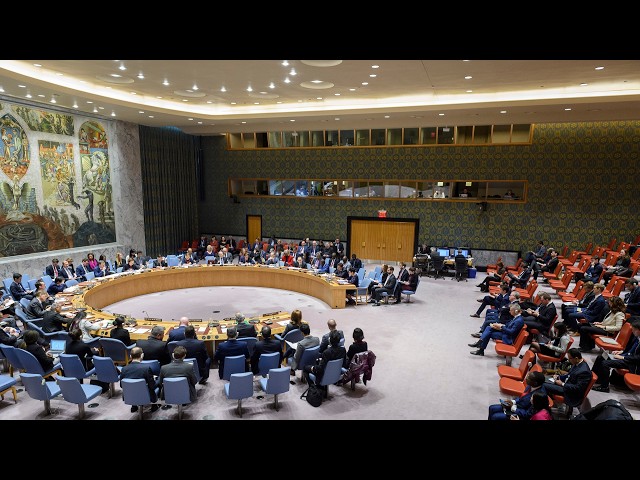 United Nations - LIVE