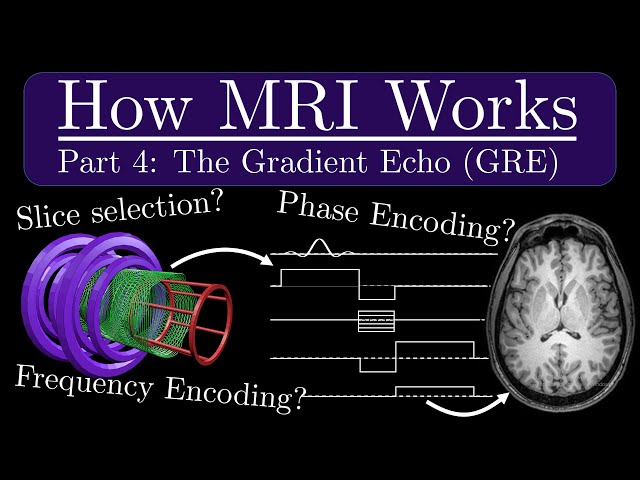 How MRI Works - Part 4 - The Gradient Recalled Echo (GRE)