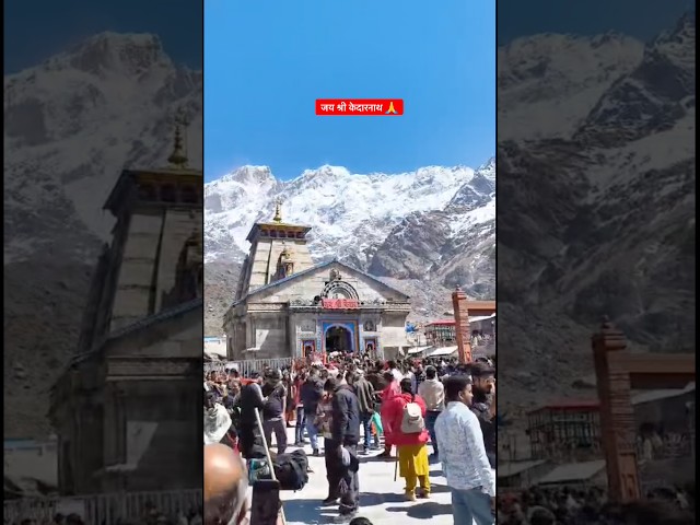 Jai Shree Kedarnath 🙏 #kedarnath #mahadev #chardham #trending #youtubeshorts