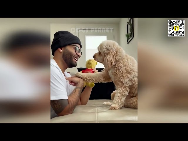 🐶🤯 Epic Dog Moments: Side-Splitting Fails You Can't Miss! 🐶🤣