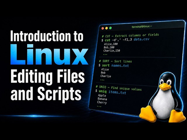 Introduction to Linux Commands: Editing Files & Running Shell Scripts