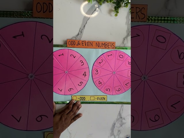 Odd and Even Numbers Working Model for School | Maths Exhibition Model | The4PillarsAcademy