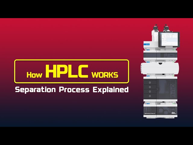 How HPLC Works: The Separation Process Explained
