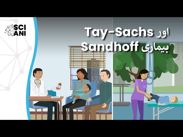 GM2 gangliosidoses: Tay-Sachs and Sandhoff بیماری کیا ہے؟