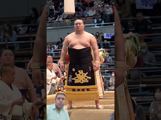 Sumo Wrestling: Japan’s 1500-Year-Old Sport Explained! 🇯🇵🤼 #shorts